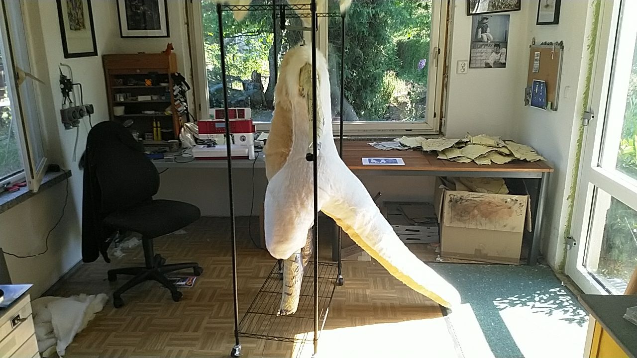 A wraparound shot of a mostly-furred bodysuit, all but the arms and lower legs complete.