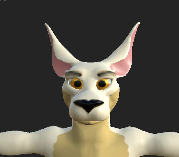The 3D head model